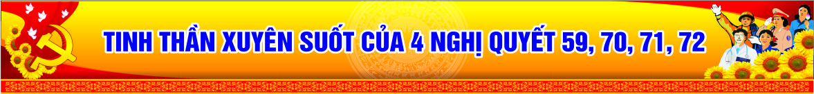 Banner 3